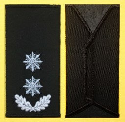 полдполковник полиции муфта